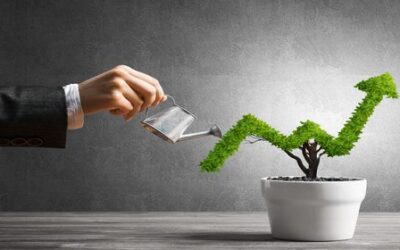 Blog 6 A Marketing Budget to Start, Grow, and Maintain your Coaching Business