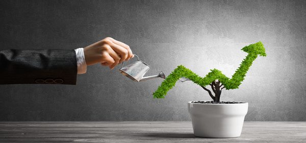 A Marketing Budget to Start, Grow, and Maintain your Coaching Business