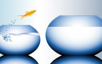 Blog 5 Taking Your Business to the Next Level