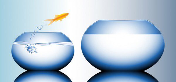 taking your business to the next level