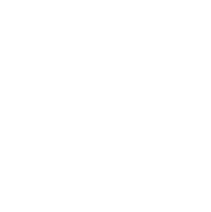 icon 01