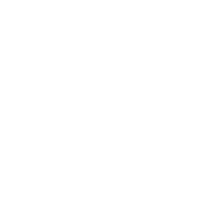 icon 02
