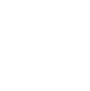 icon 03